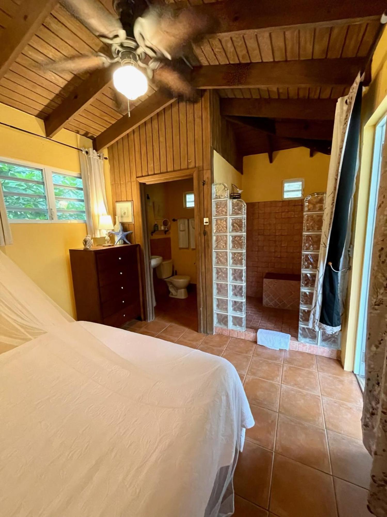 Esperanza Inn Guesthouse (Adults Only) Векес Стая снимка